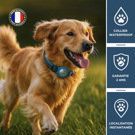 PetFinder Guardian – Collier de sécurité GPS pour chiens