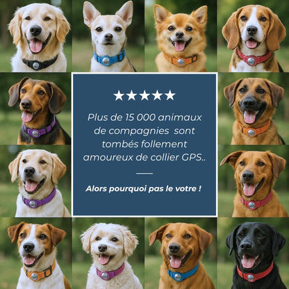 PetFinder Guardian – Collier de sécurité GPS pour chiens