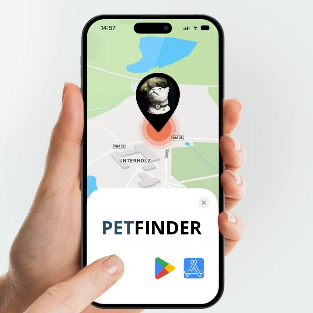 application-localisation