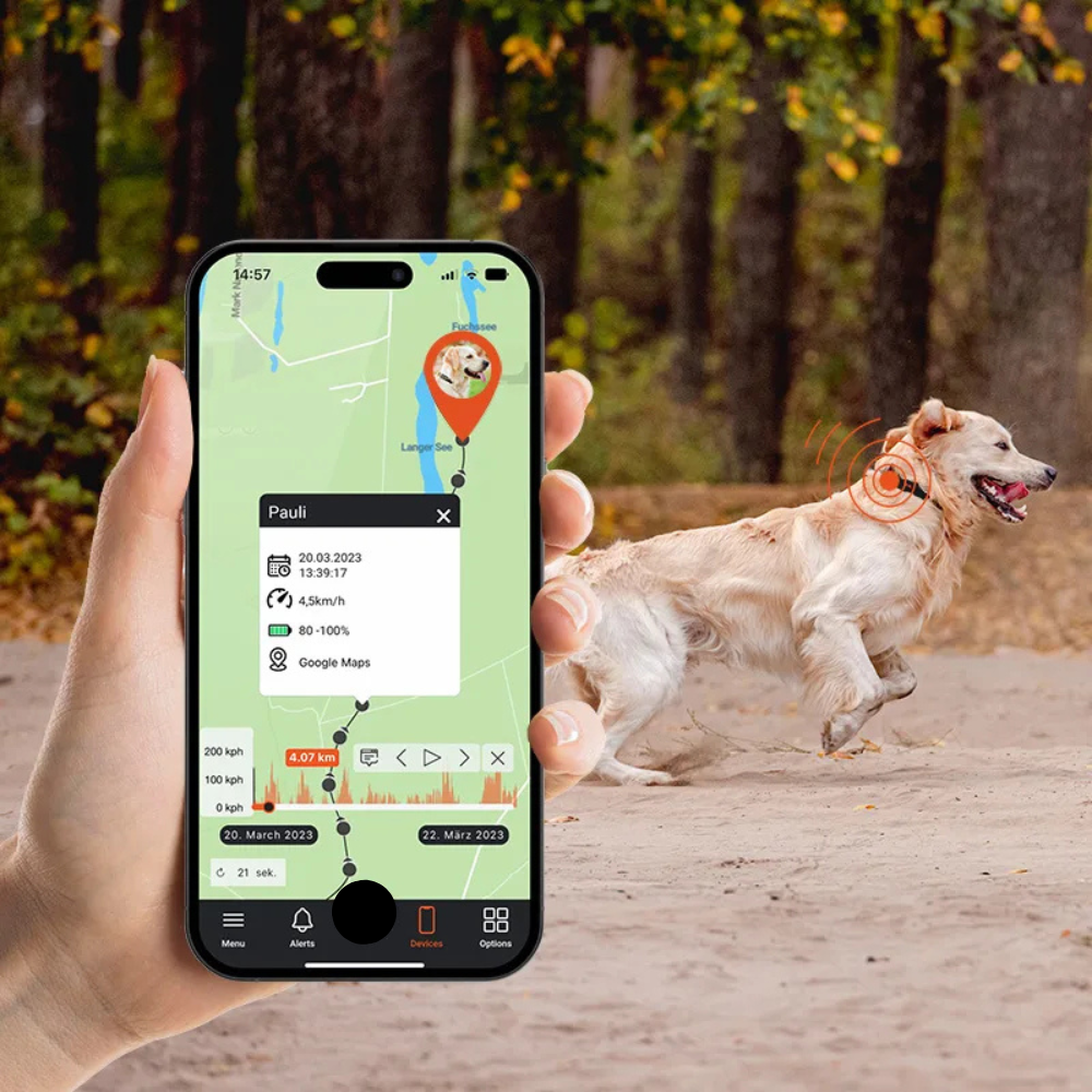 application-petfinder-localisation