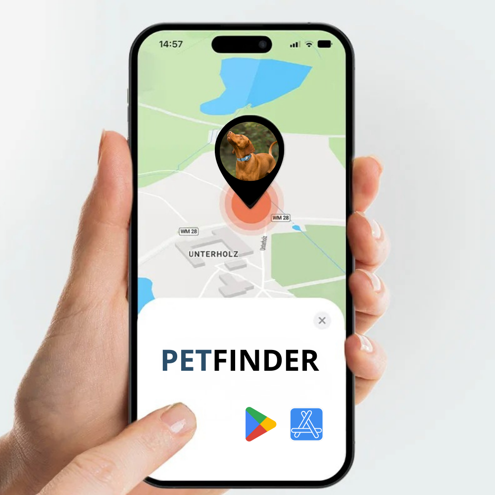 application-petfinder