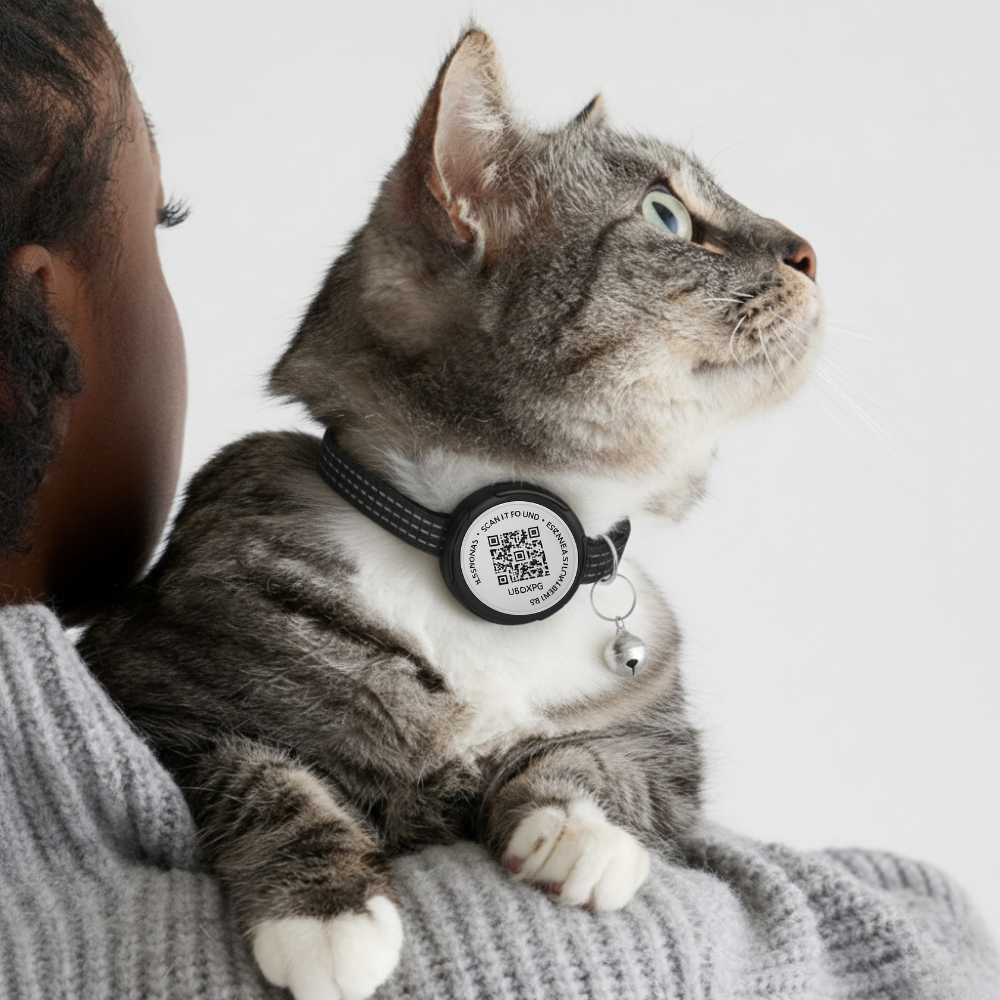 image-collier-chat-petfinder