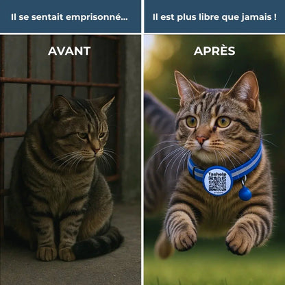 Pet Finder Guardian - Collier de sécurité GPS pour chat - Pet Finder