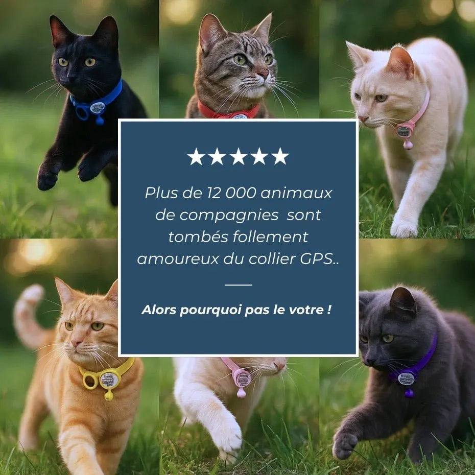 Pet Finder Guardian - Collier de sécurité GPS pour chat - Pet Finder