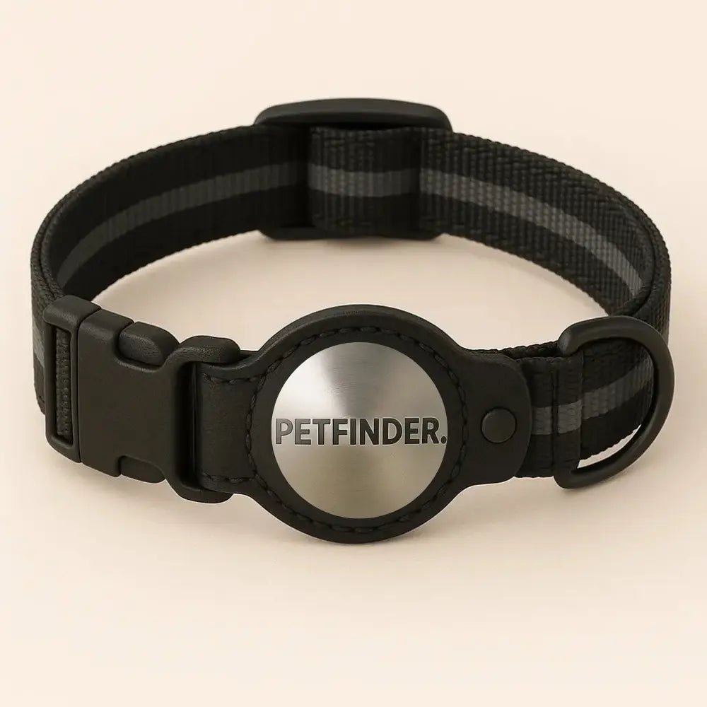 PetFinder - Collier tracker GPS pour chiens - Pet Finder