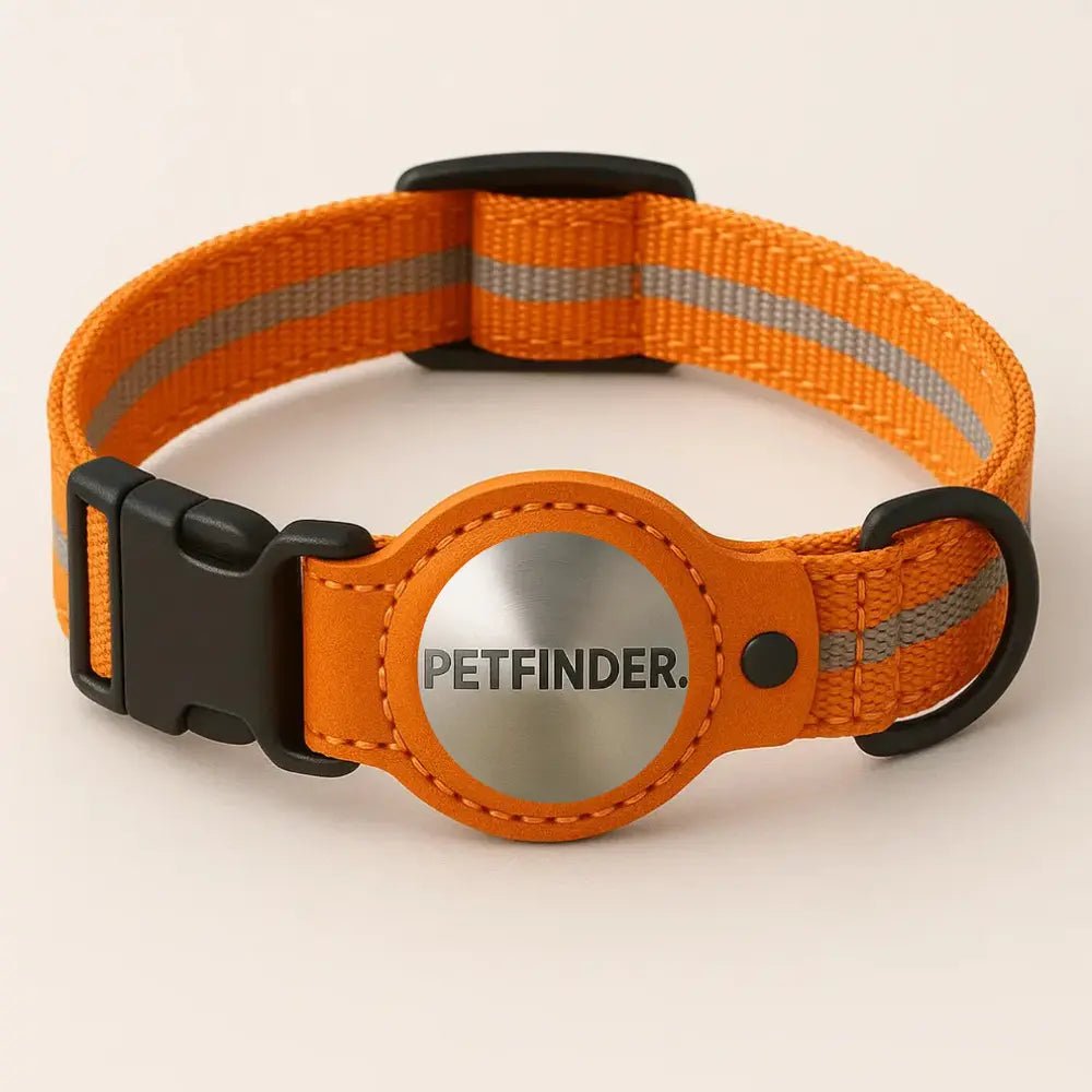 PetFinder - Collier tracker GPS pour chiens - Pet Finder