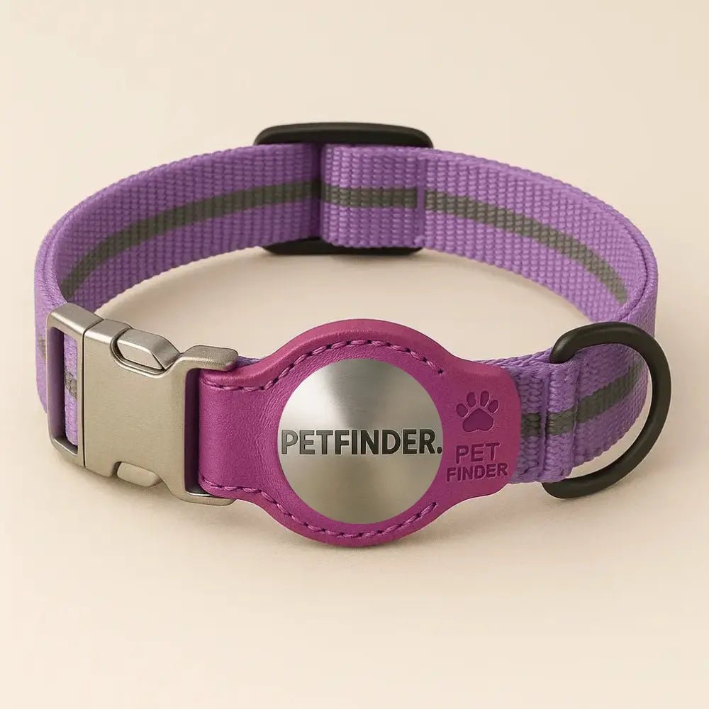 PetFinder - Collier tracker GPS pour chiens - Pet Finder