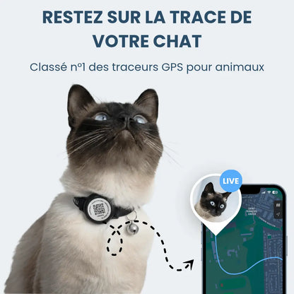 PetFinder Guardian - Collier de sécurité GPS pour chats - Pet Finder