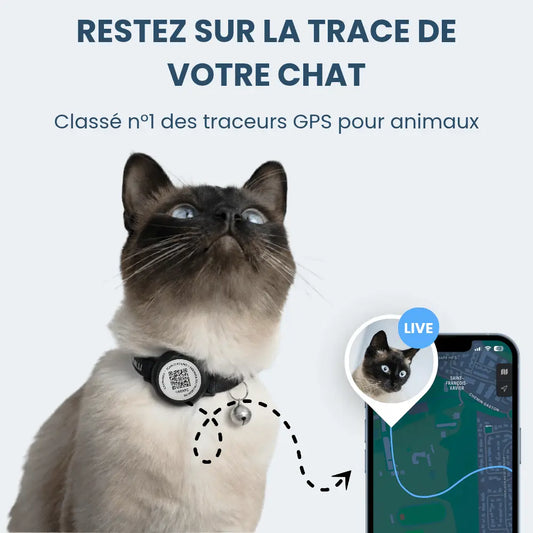 PetFinder Guardian - Collier de sécurité GPS pour chats - Pet Finder