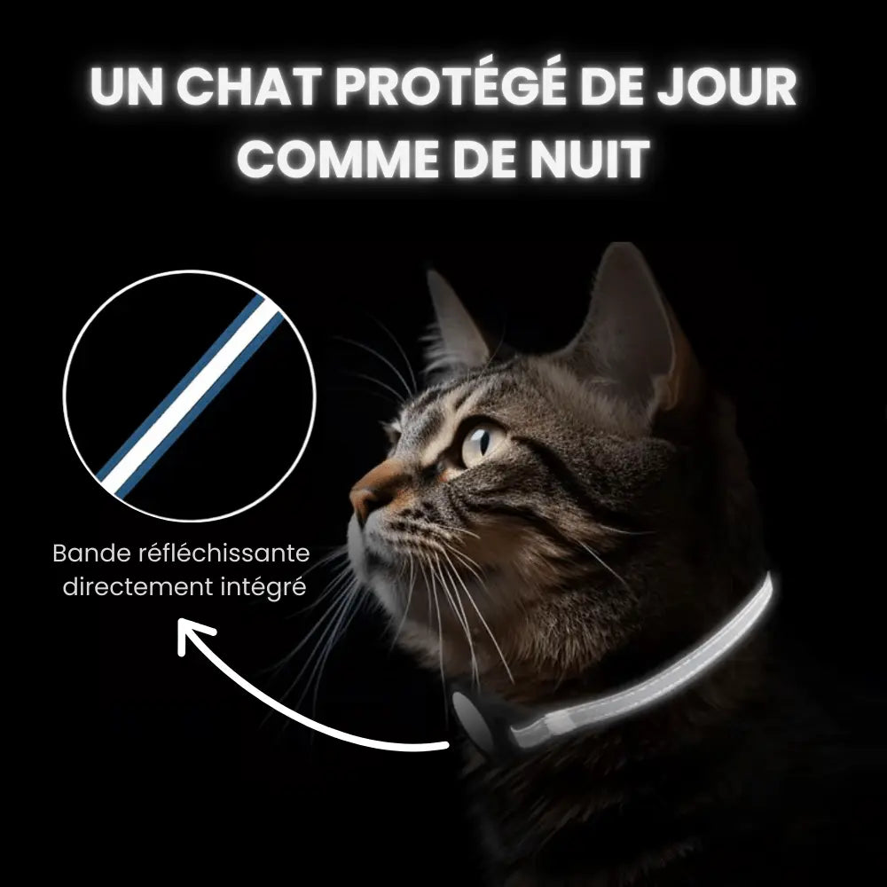 PetFinder Guardian - Collier de sécurité GPS pour chats - Pet Finder