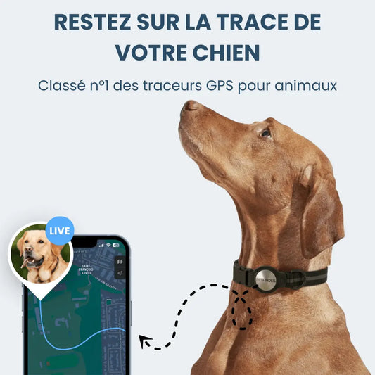 PetFinder Guardian - Collier de sécurité GPS pour chiens - Pet Finder
