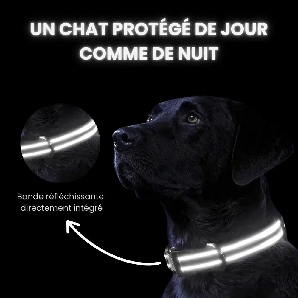 PetFinder Guardian - Collier de sécurité GPS pour chiens - Pet Finder