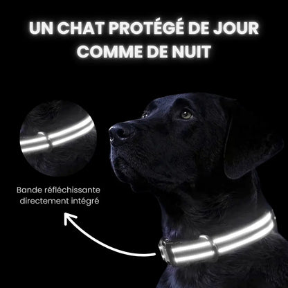 PetFinder Guardian - Collier de sécurité GPS pour chiens - Pet Finder